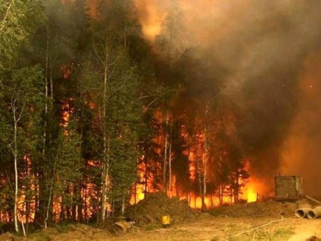 Марксизм и лесные пожары